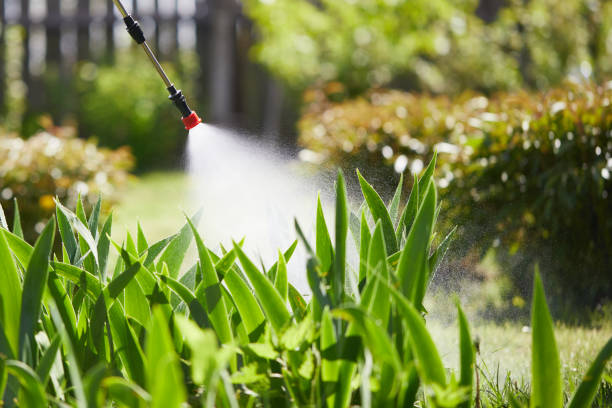 24/7 Emergency Wasp Removal experts in Forsyth, GA