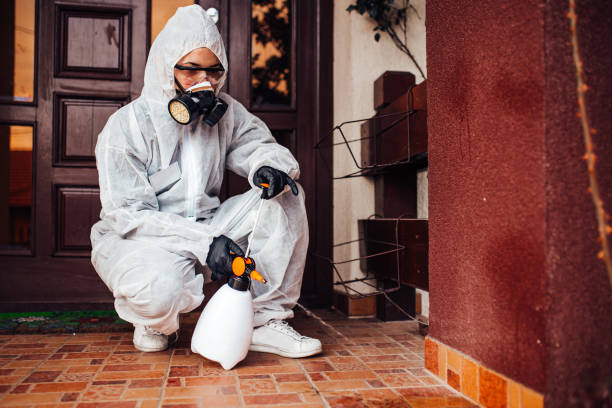 Reliable Wasp Removal contractor in Forsyth, GA by Show Me Pest Control